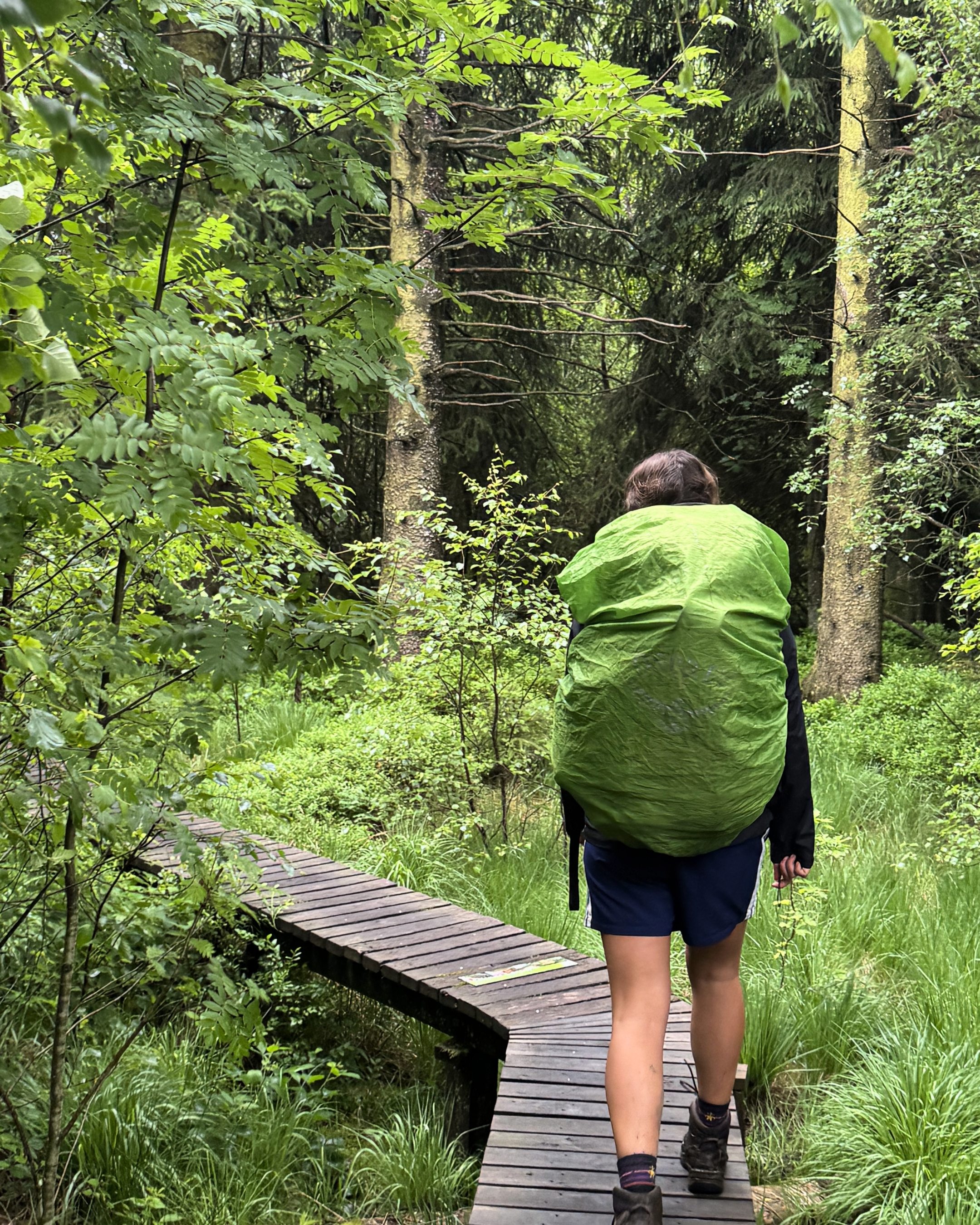Trailhead, shouldering packs